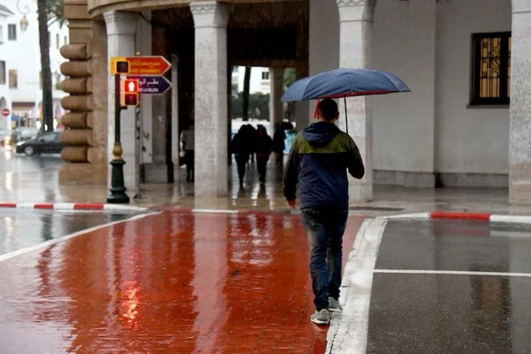 Weather alert warns of heavy storms and strong winds across regions